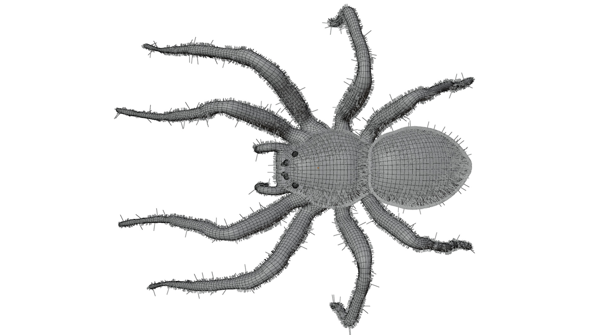 Fishing Spider 3D model_17