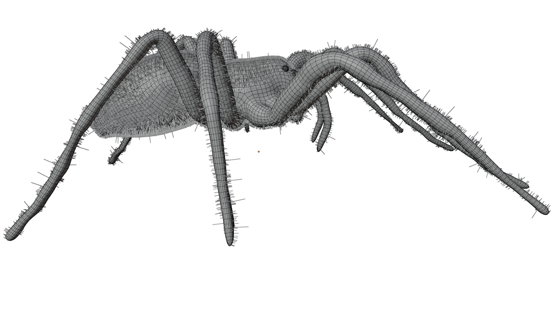 Fishing Spider 3D model_14