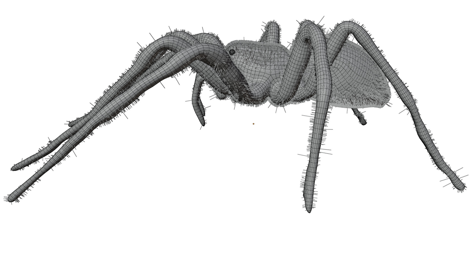 Fishing Spider 3D model_10