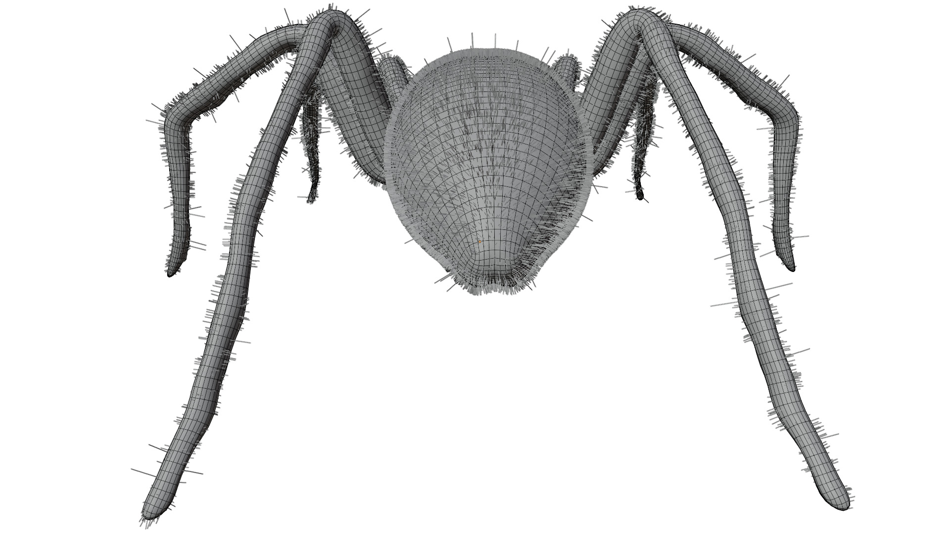 Fishing Spider 3D model_12