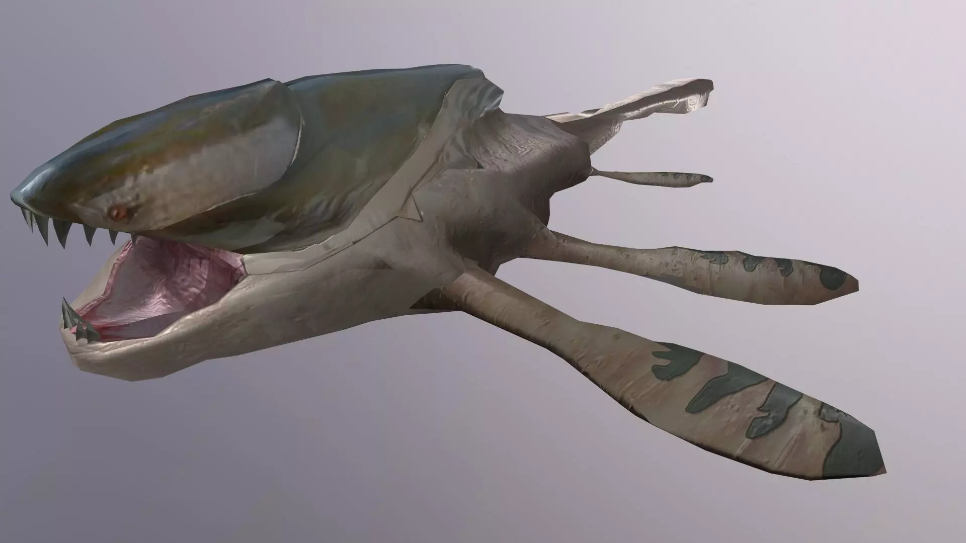 Ancient Shark Free 3D model