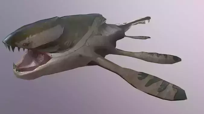 Ancient Shark