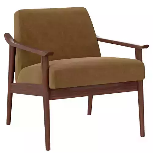 Mid- Century Show Wood Chair