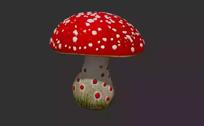 fly agaric