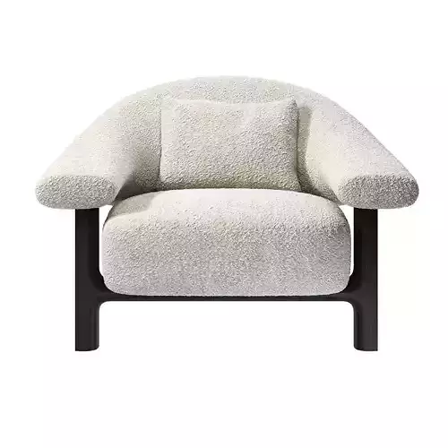 Owen Armchair by Poliform