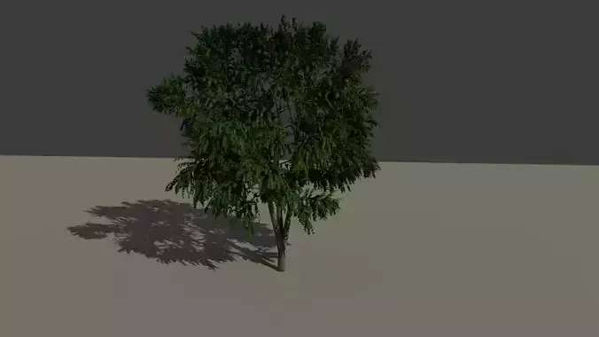 tree 1 3D model