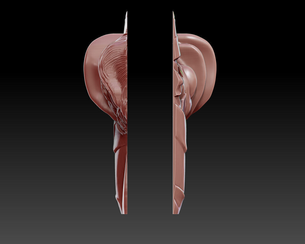 donald trump 3D print model_4