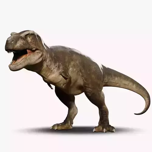 Accurate - Tyrannosaurus rex RIG Low-poly 3D model
