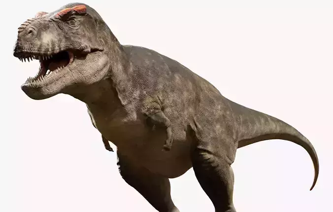 Accurate - Tyrannosaurus rex RIG
