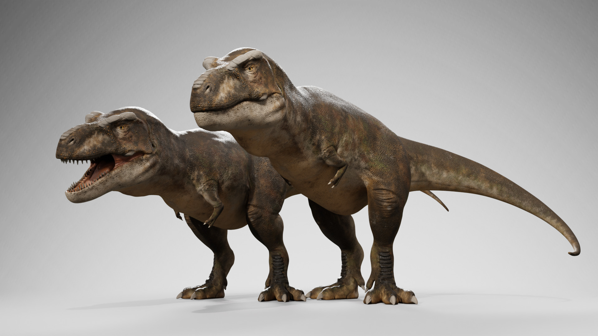 Accurate - Tyrannosaurus rex RIG Low-poly 3D model_9