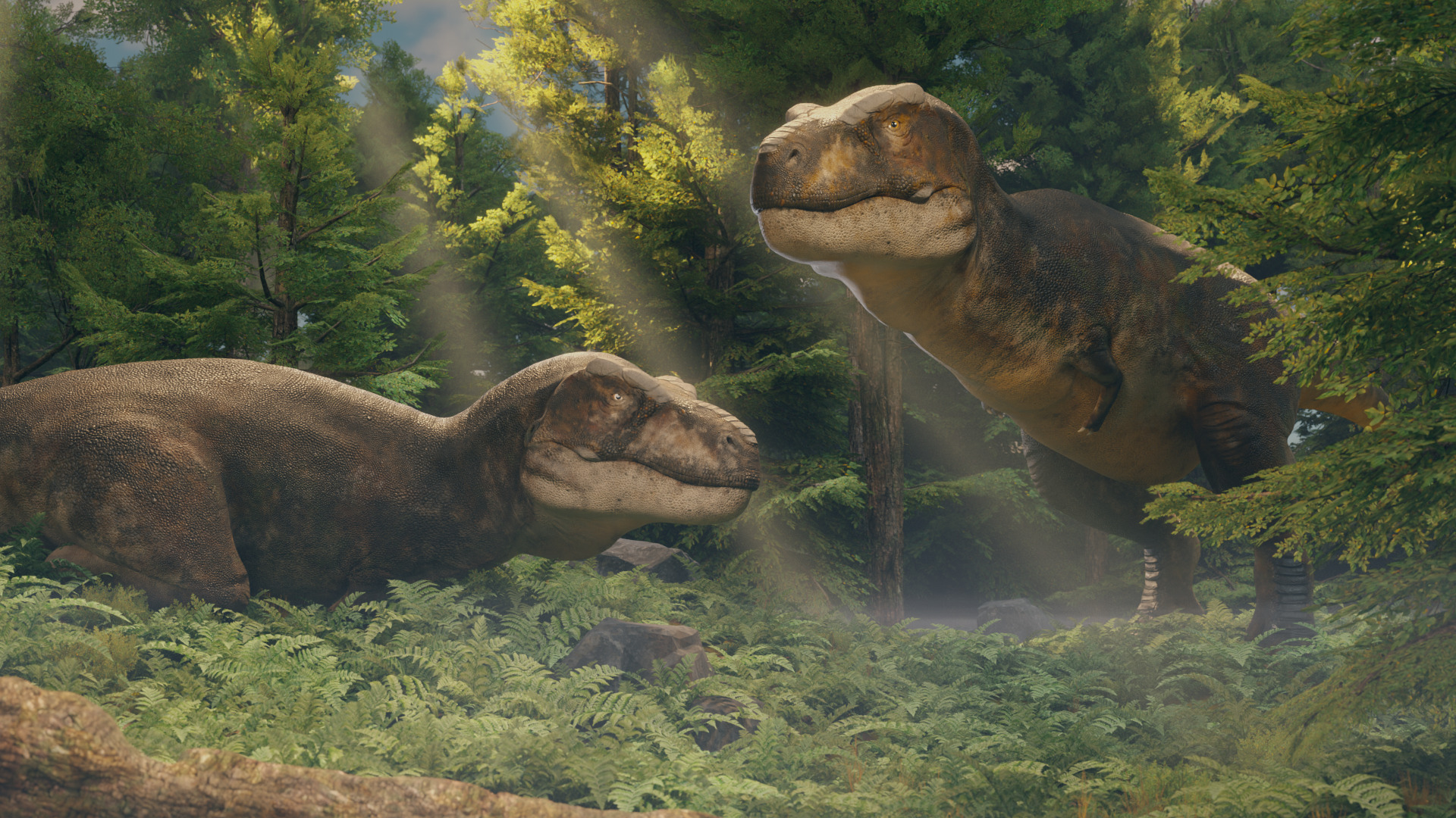 Accurate - Tyrannosaurus rex RIG Low-poly 3D model_11