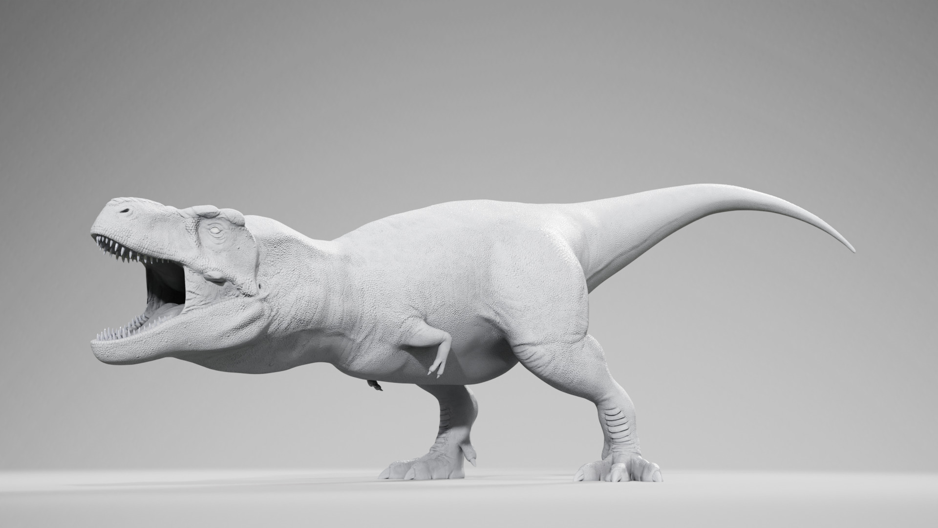 Accurate - Tyrannosaurus rex RIG Low-poly 3D model_14