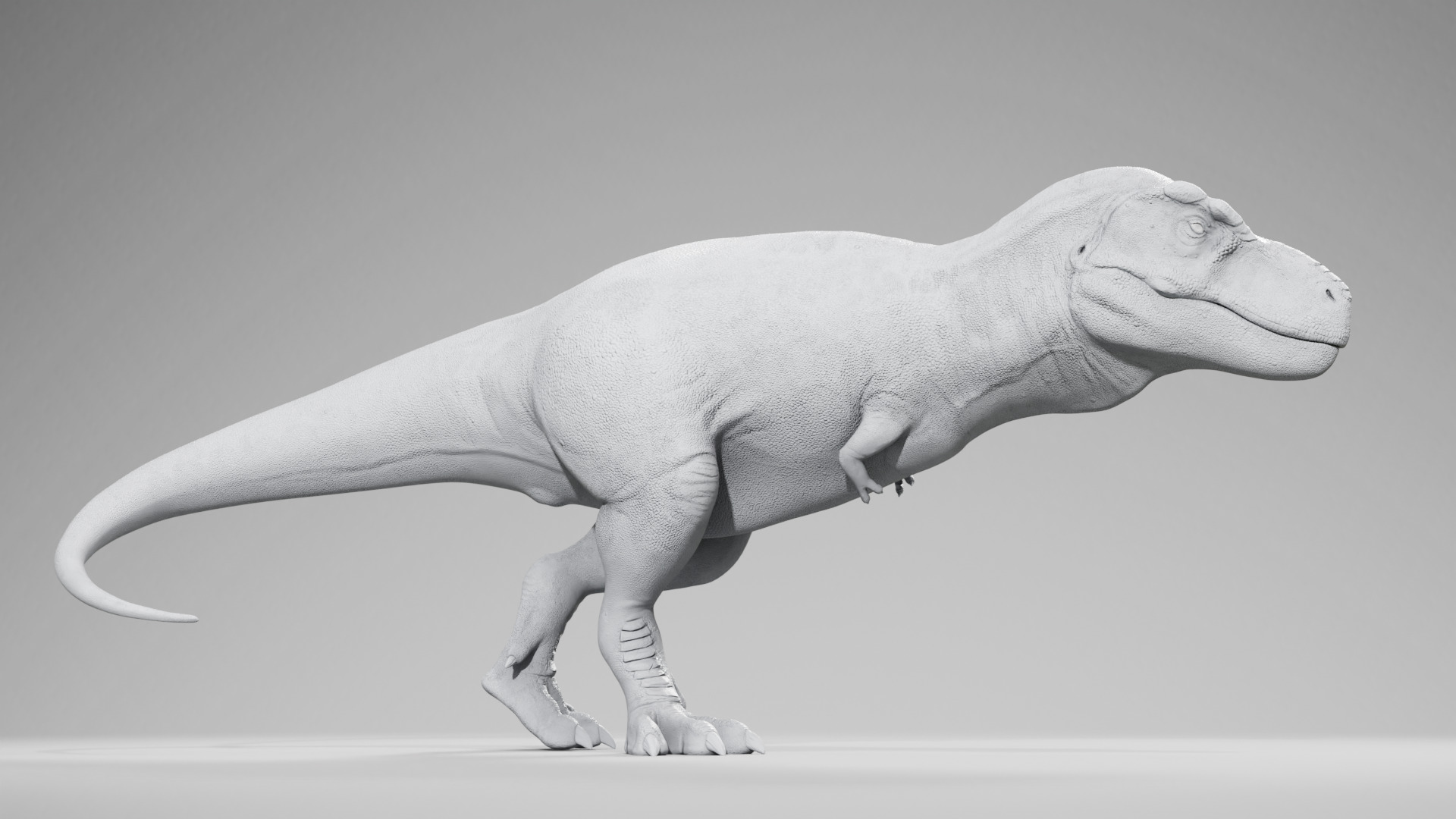 Accurate - Tyrannosaurus rex RIG Low-poly 3D model_15
