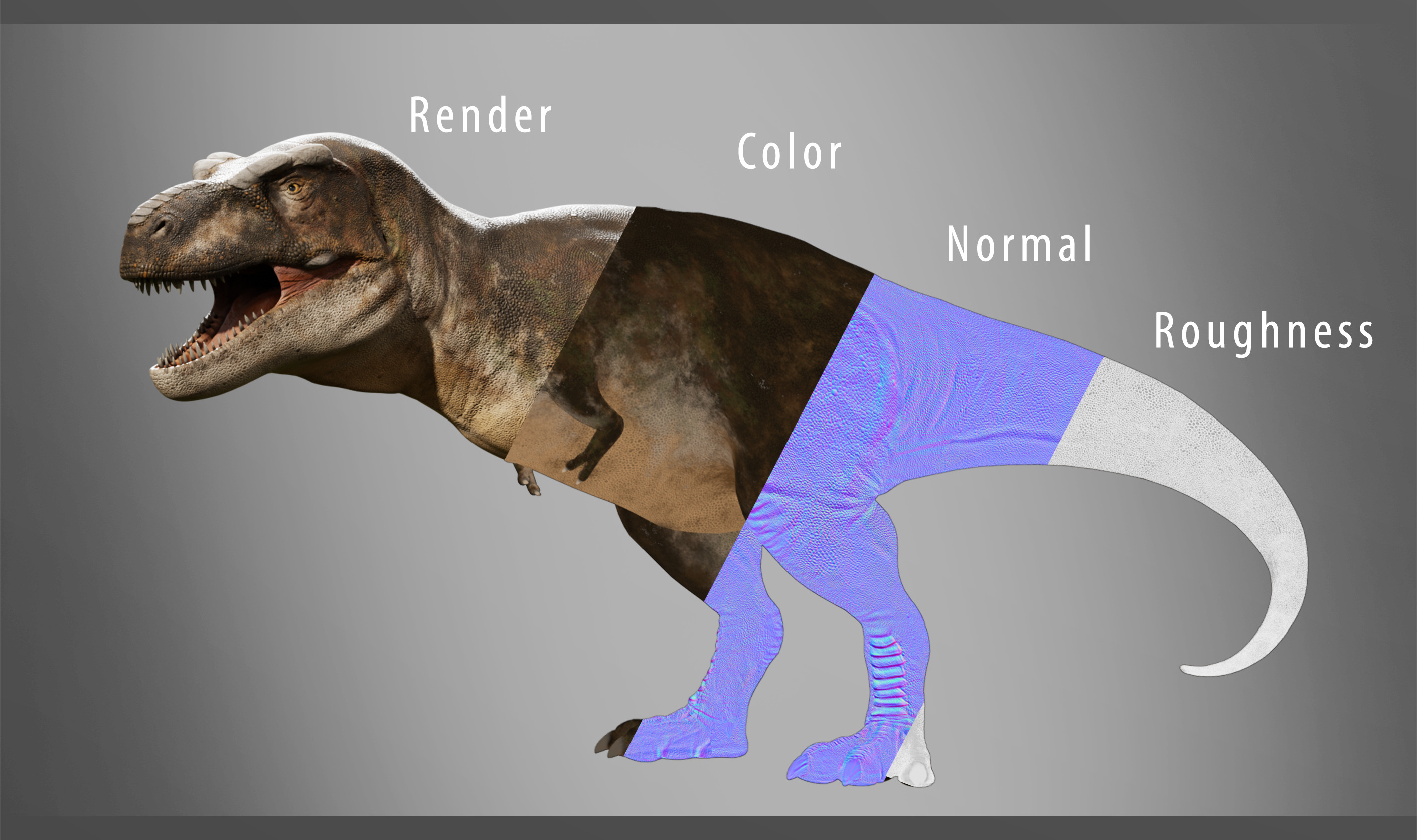 Accurate - Tyrannosaurus rex RIG Low-poly 3D model_13