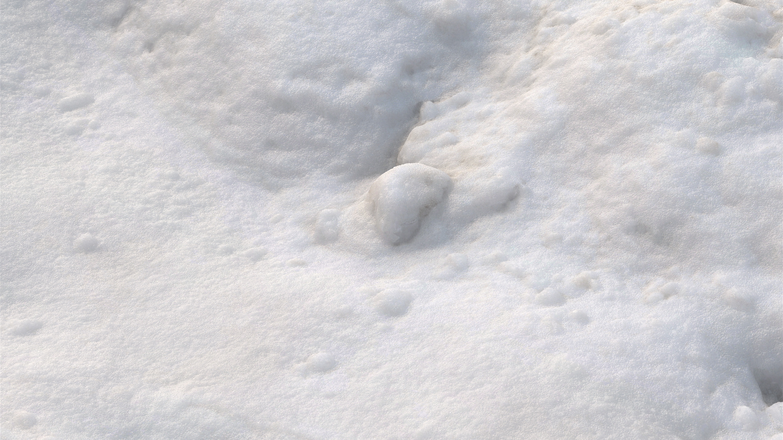 Snow 07 PBR Low-poly 3D model_7
