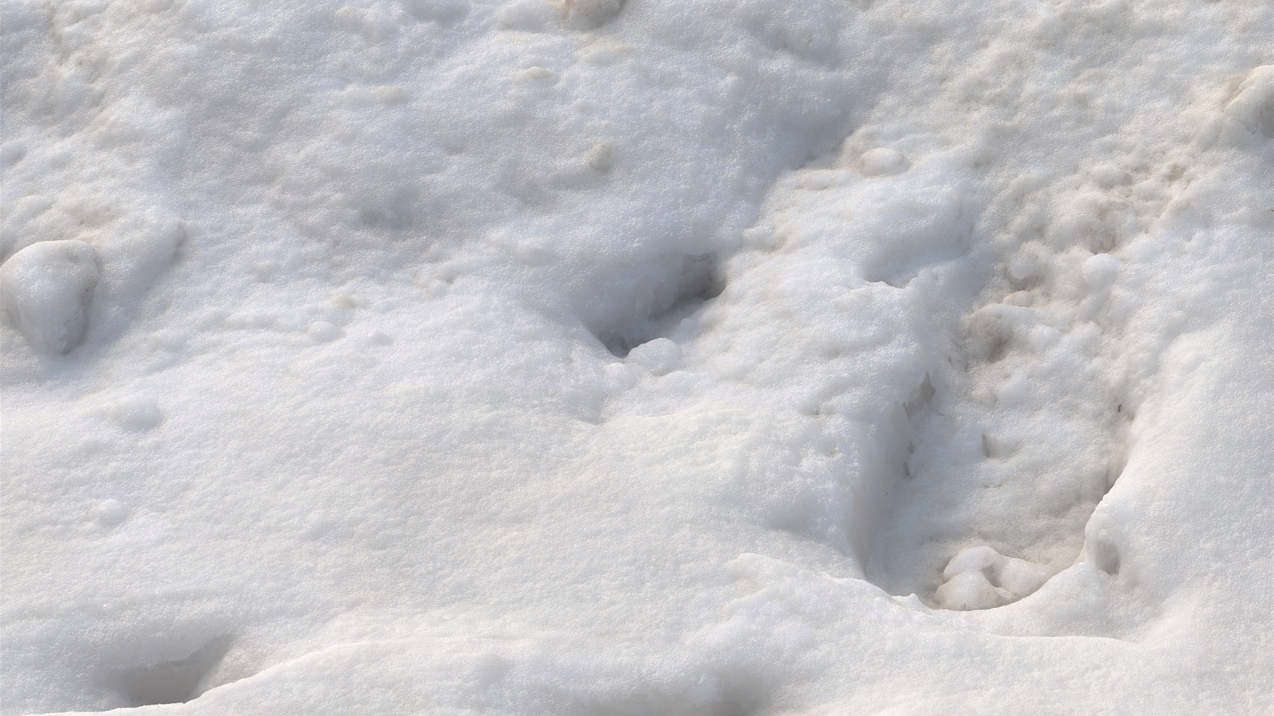 Snow 07 PBR Low-poly 3D model_9