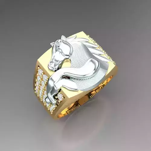 Man Ring New Design 3MR017 3D model