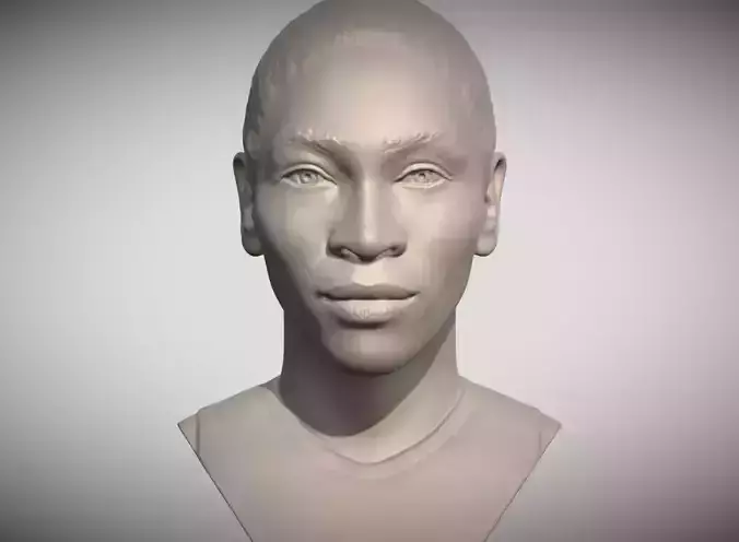 Serena Williams bust 3D print model