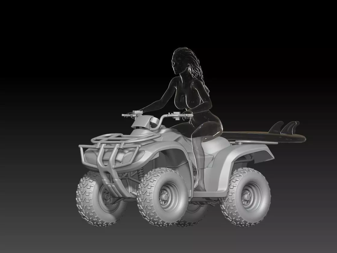 quad baywatch 3D print model_0