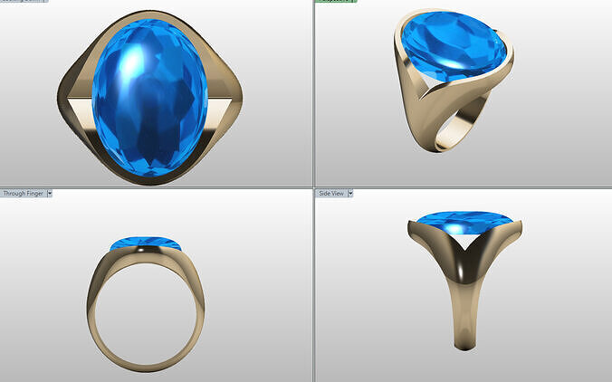Sport ring 3D print model