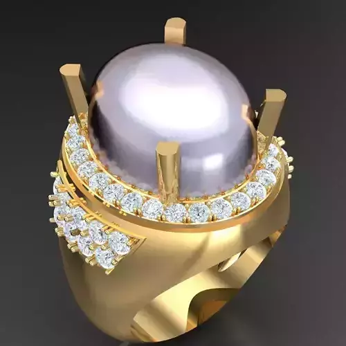 Popular Man Ring Jewelry 2MR031