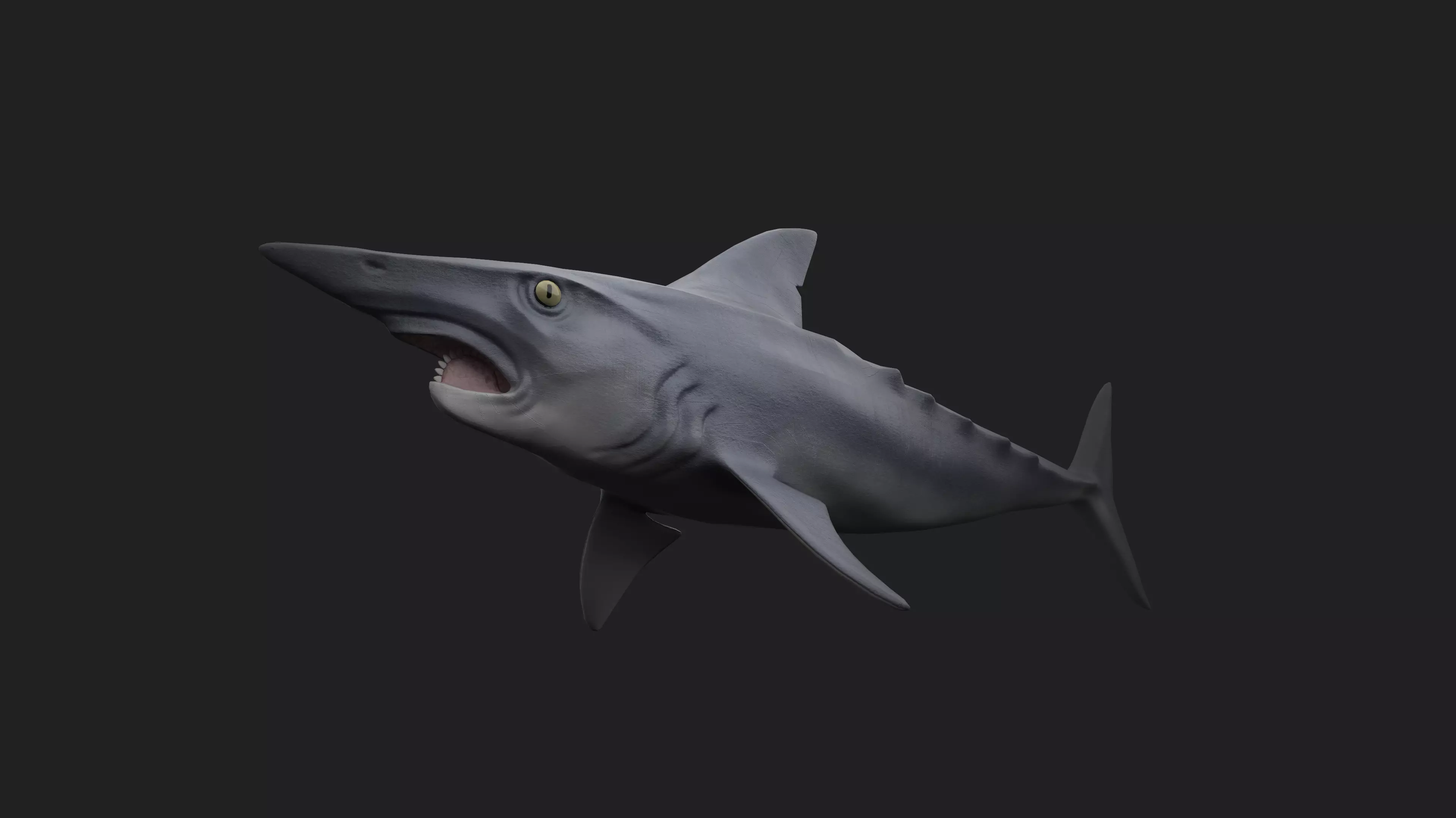 Helicoprion Low-poly 3D model_0