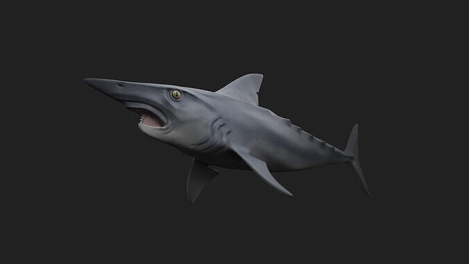 Helicoprion Low-poly 3D model