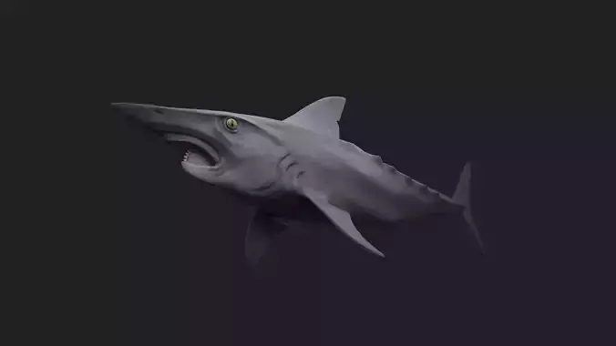 Helicoprion Low-poly 3D model