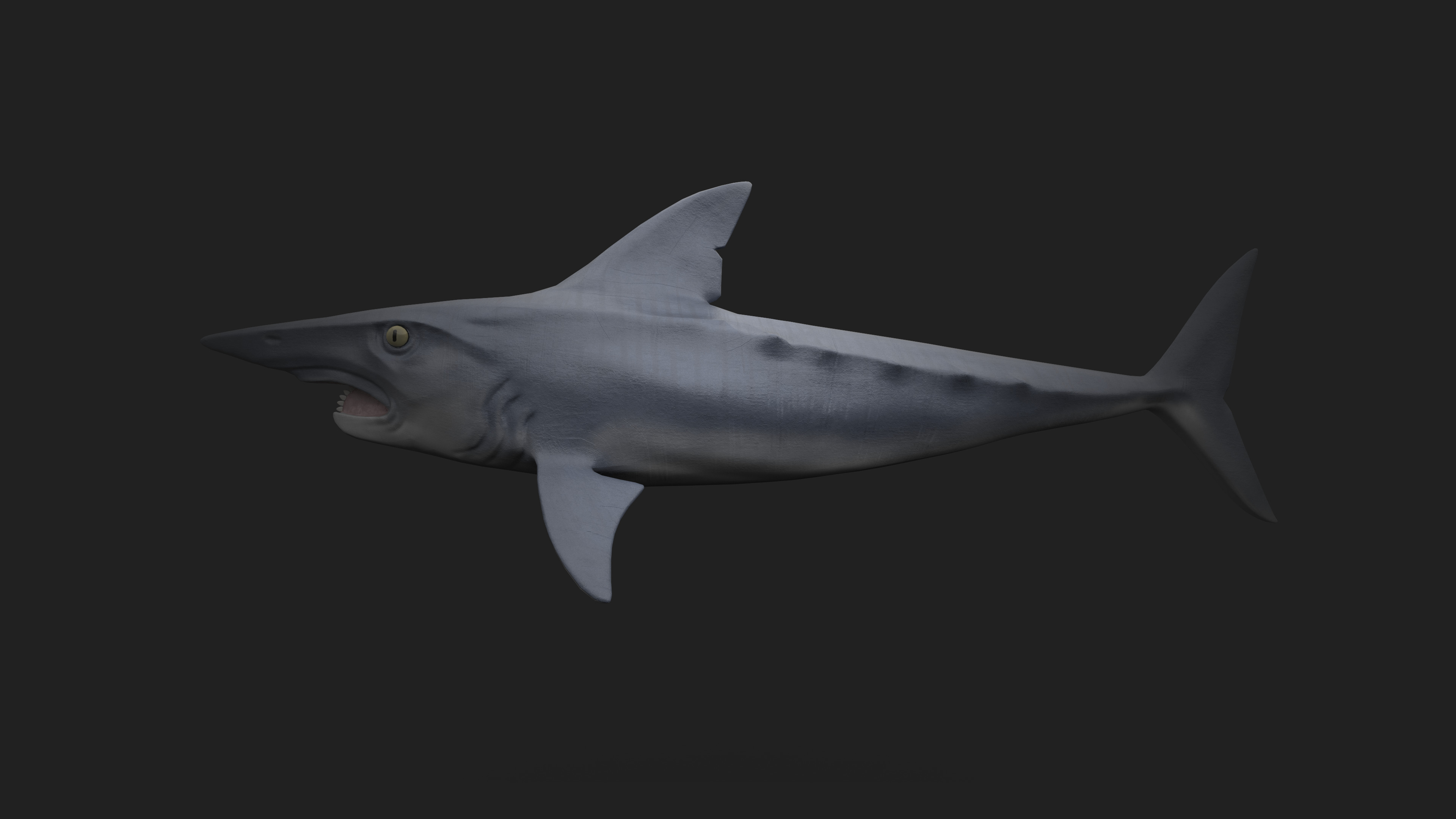 Helicoprion Low-poly 3D model_3