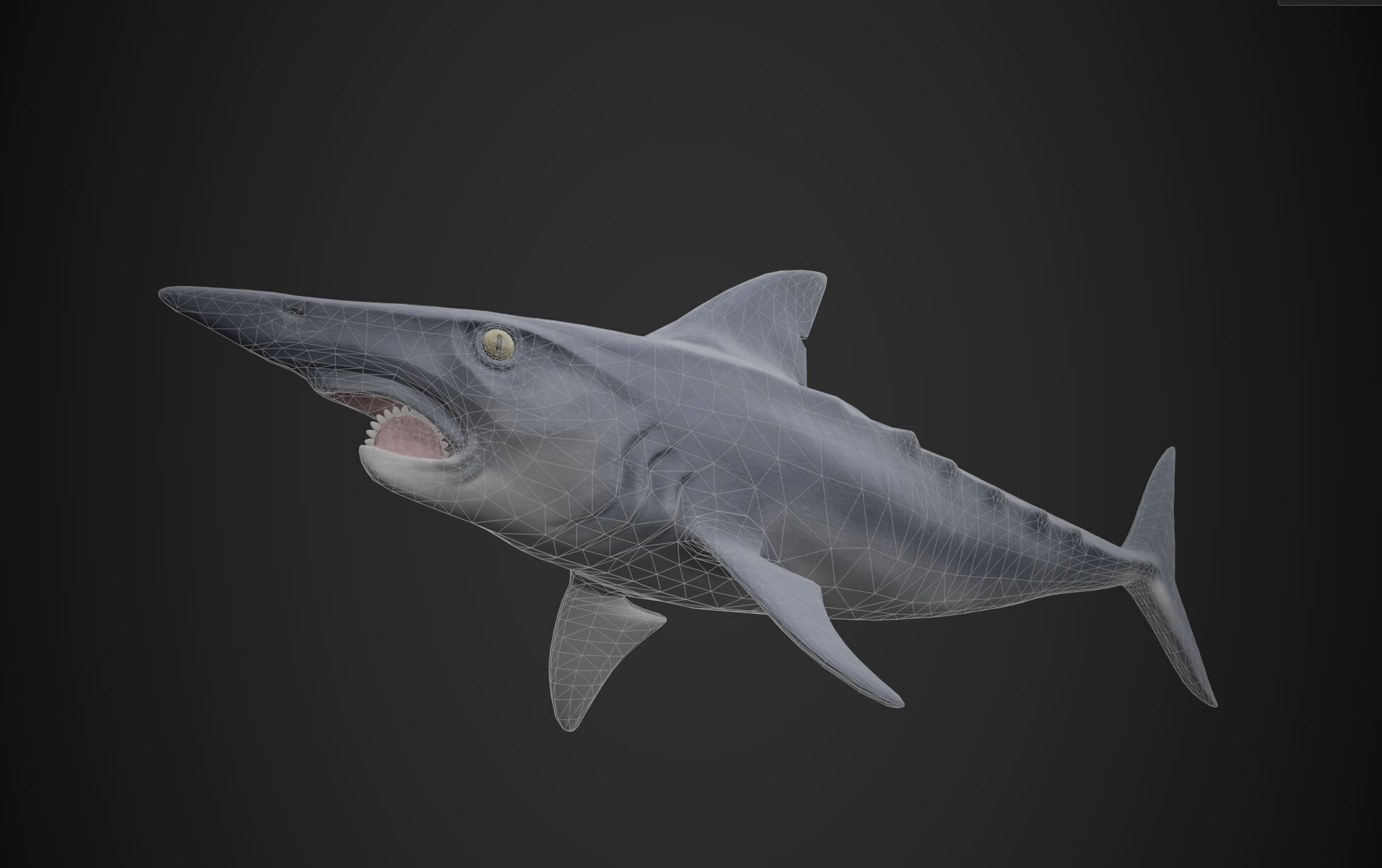 Helicoprion Low-poly 3D model_2