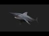 Helicoprion Low-poly 3D model_1