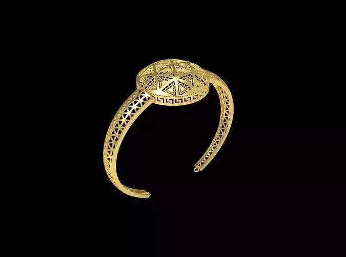 Fusion Gold Wristband RABBW04 3D print model