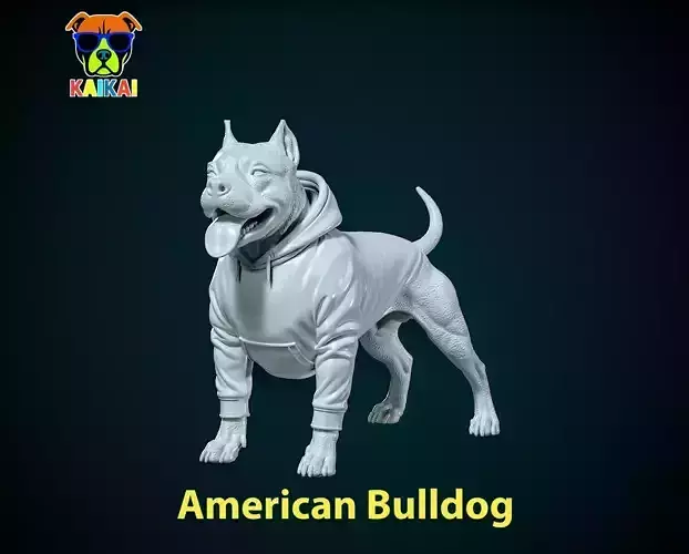 American Bulldog Urban vibes Decor