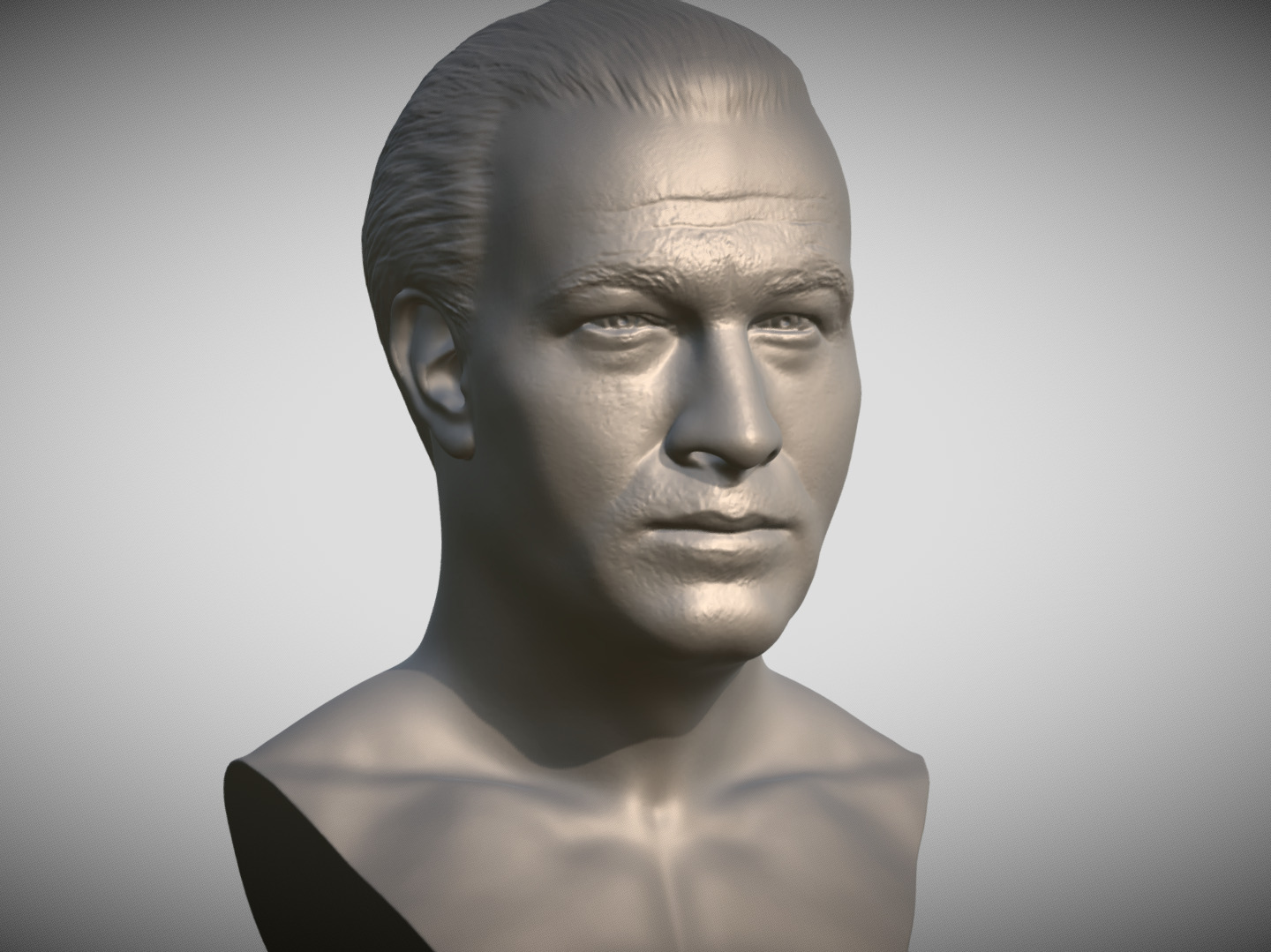 Steven Seagal bust 3D print model_9