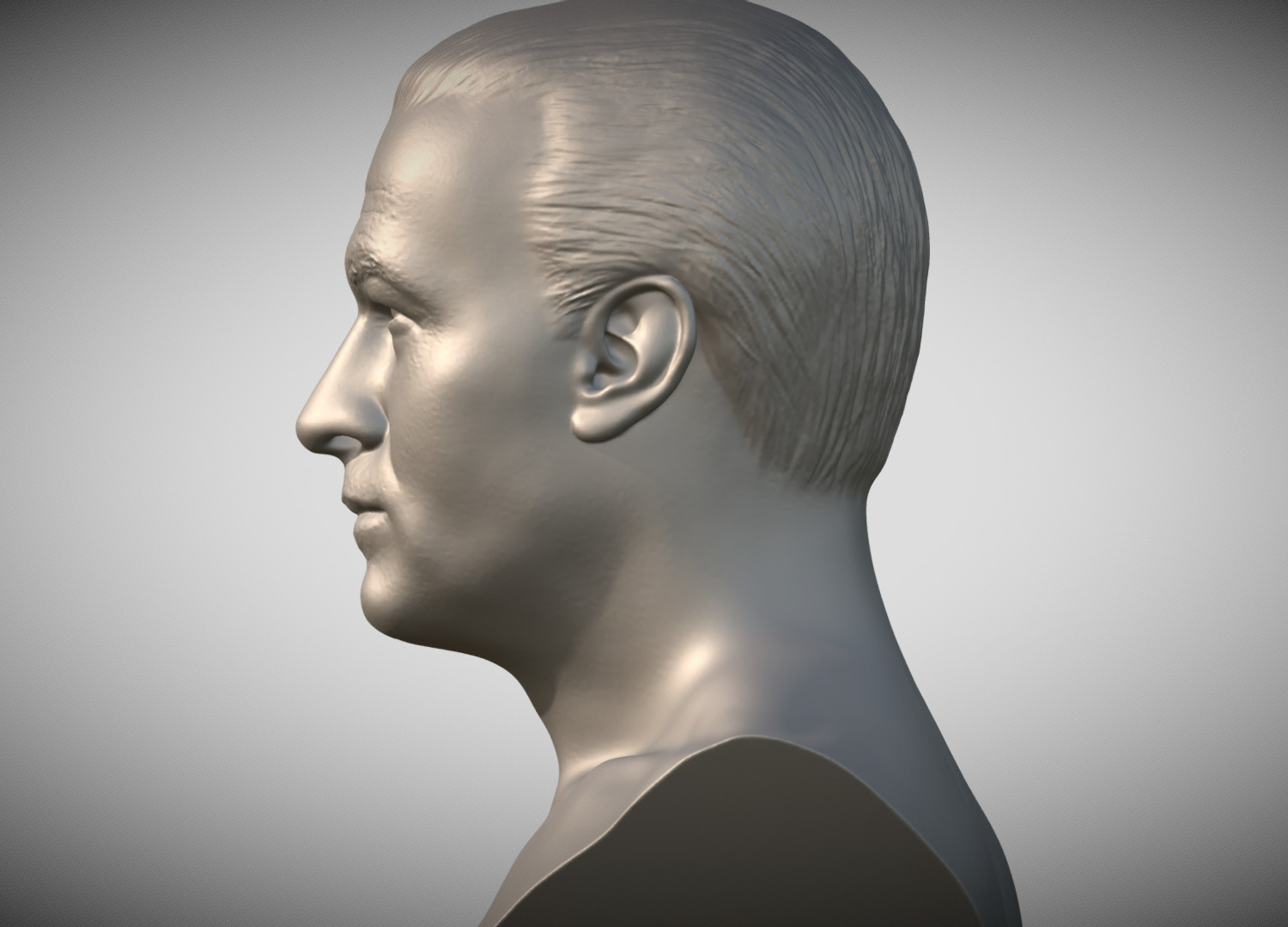 Steven Seagal bust 3D print model_4