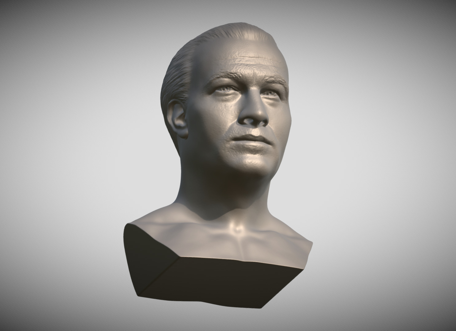 Steven Seagal bust 3D print model_12