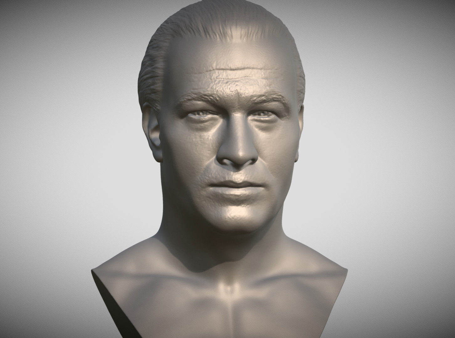 Steven Seagal bust 3D print model_10