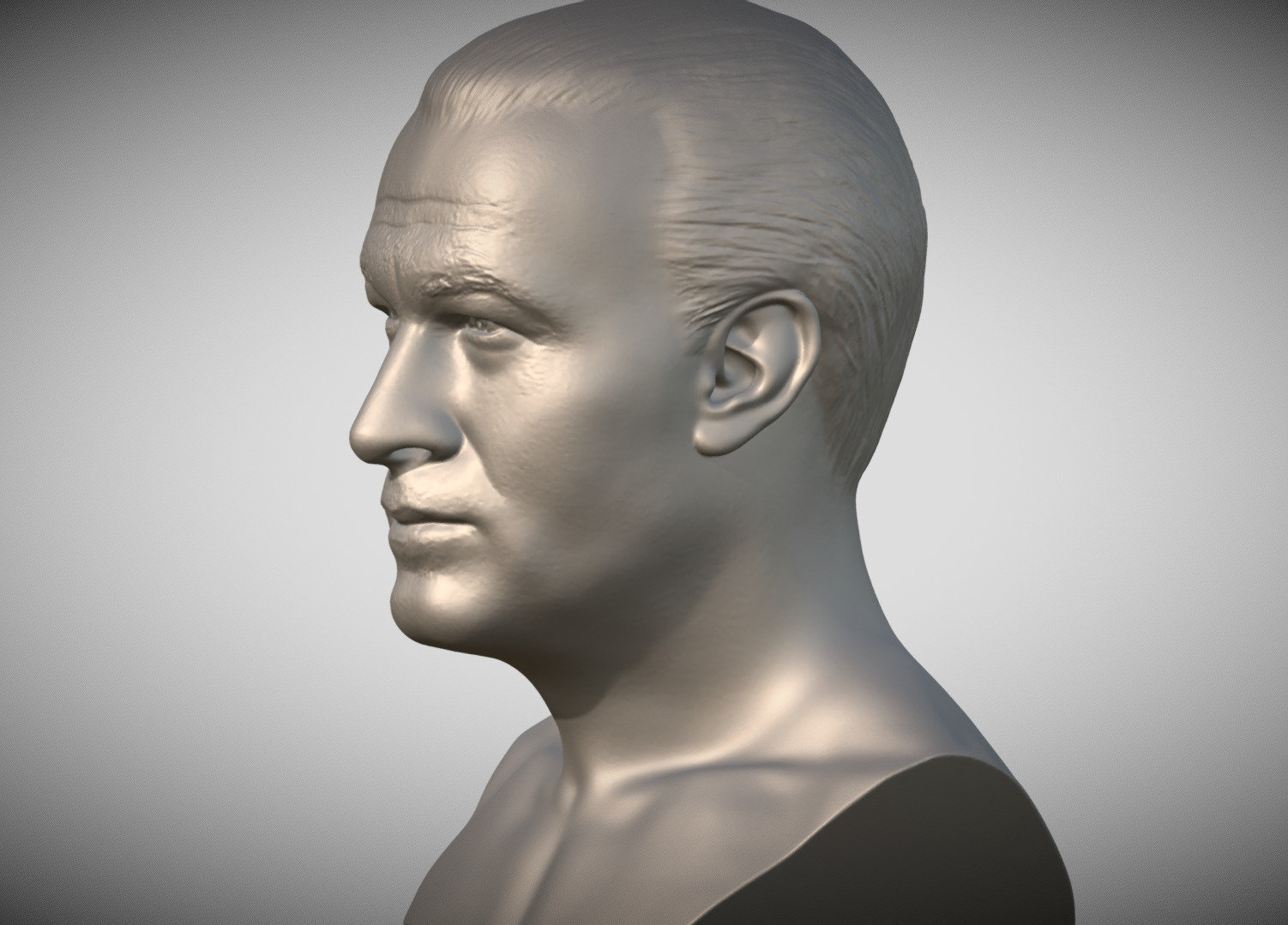 Steven Seagal bust 3D print model_3