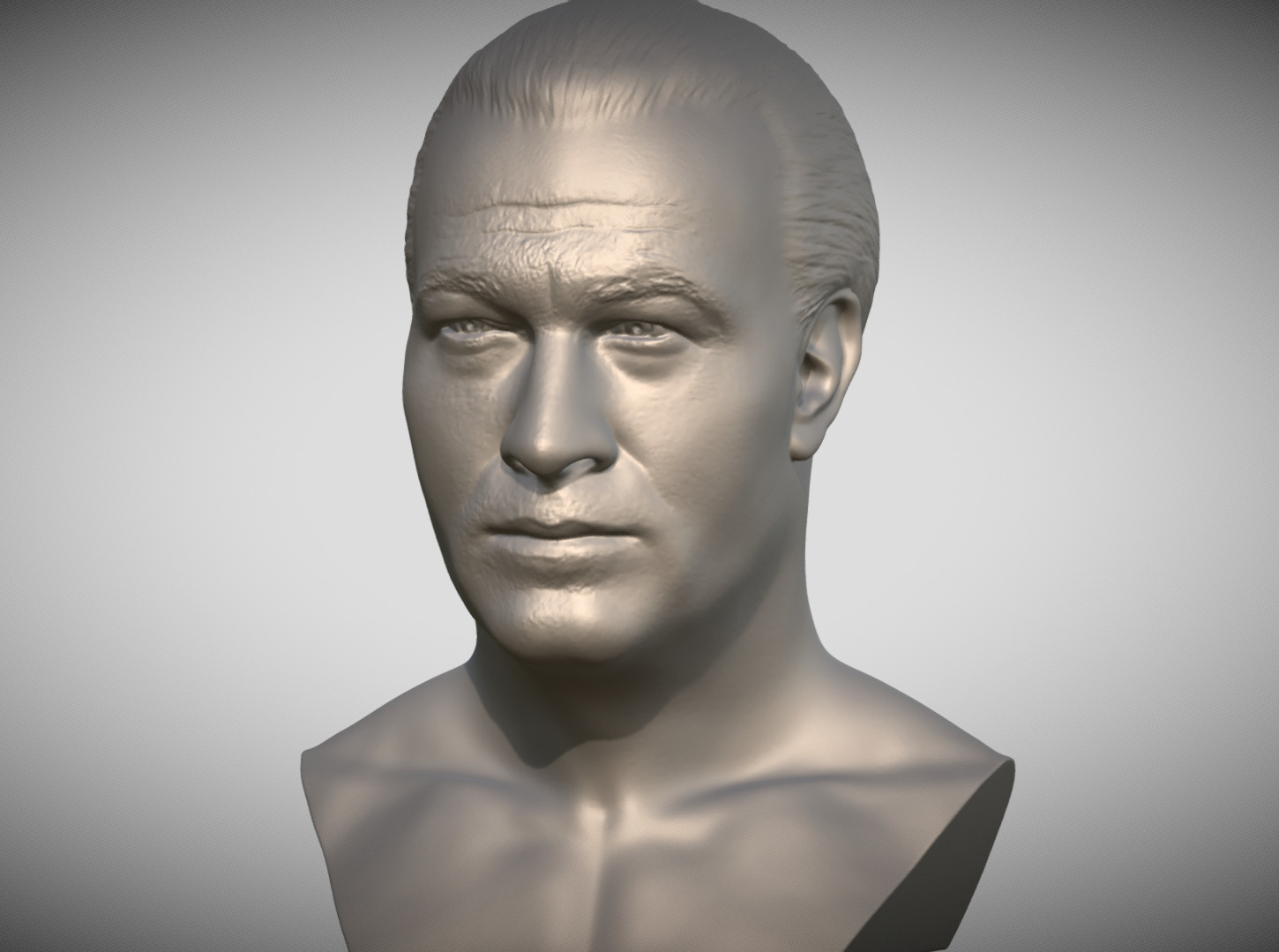 Steven Seagal bust 3D print model_1