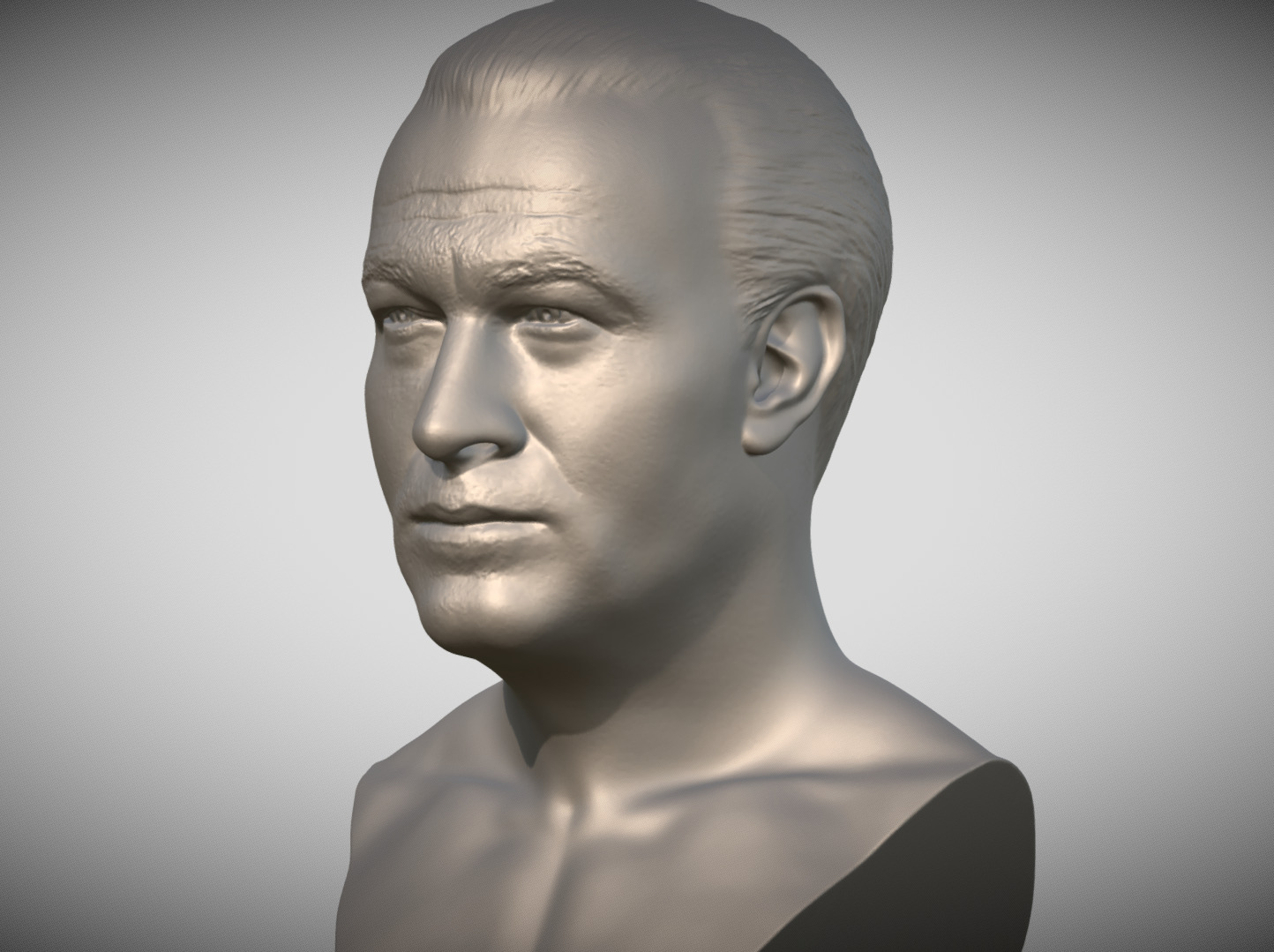 Steven Seagal bust 3D print model_2