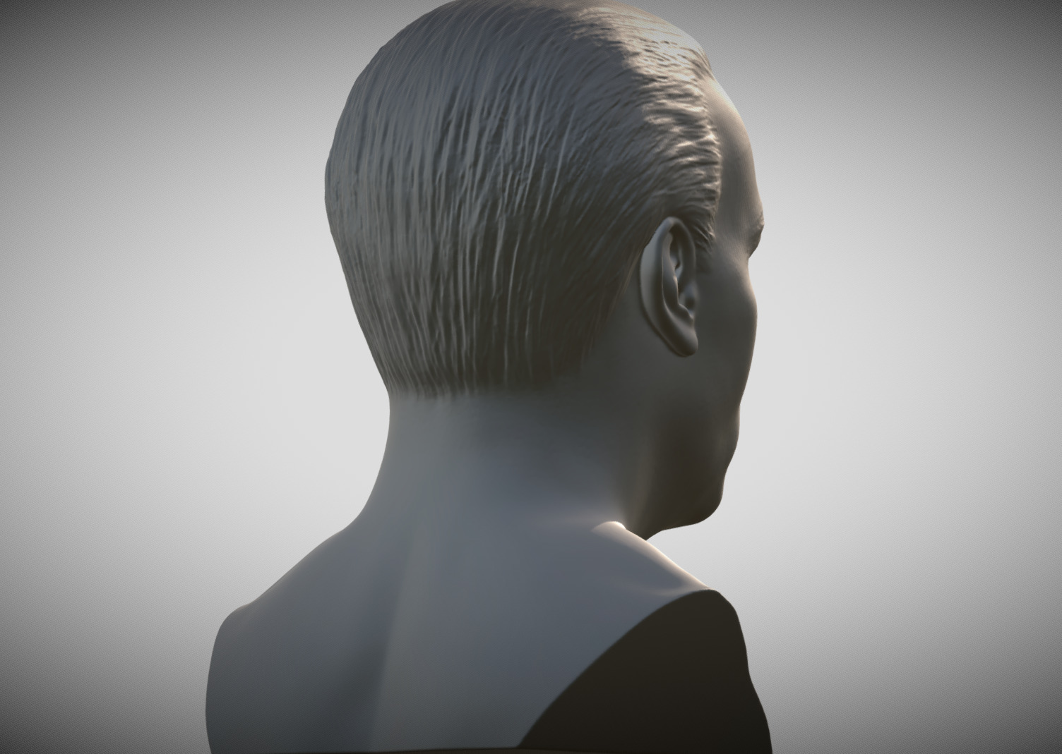 Steven Seagal bust 3D print model_6