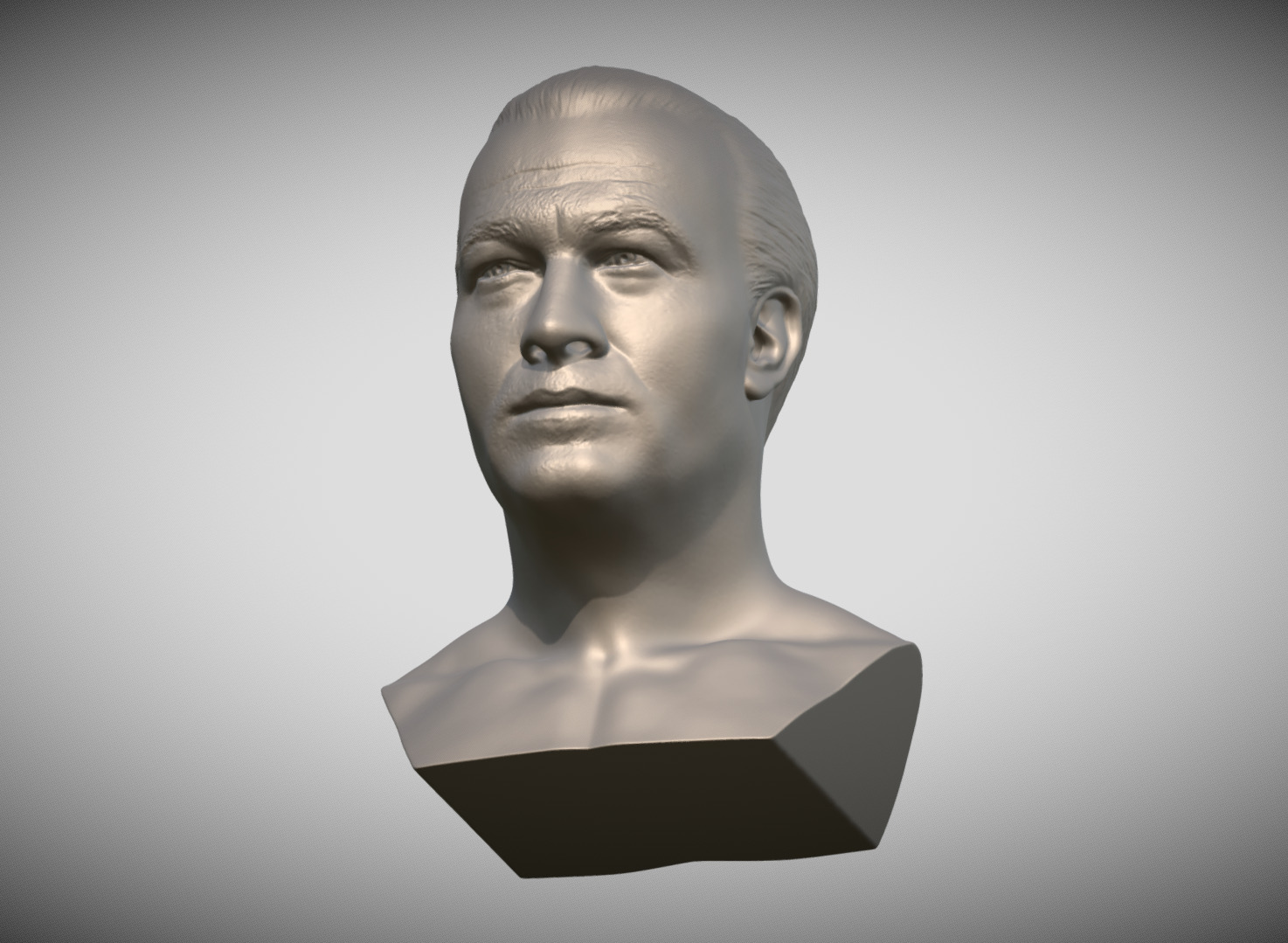 Steven Seagal bust 3D print model_13