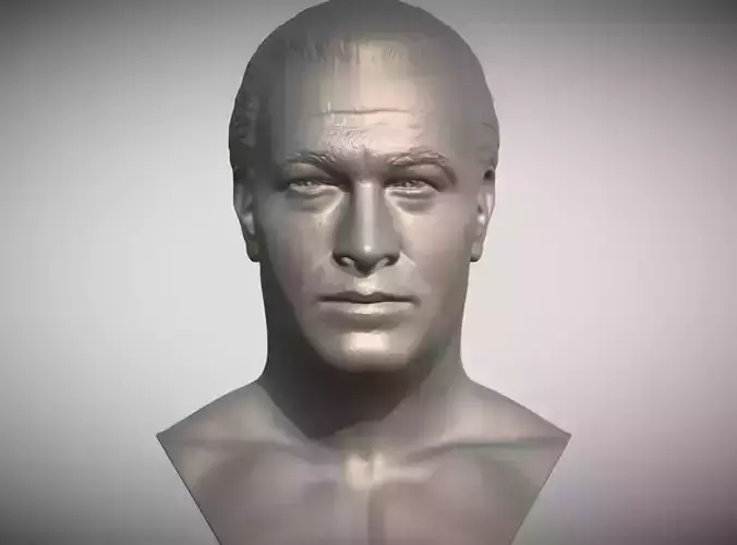 Steven Seagal bust 3D print model