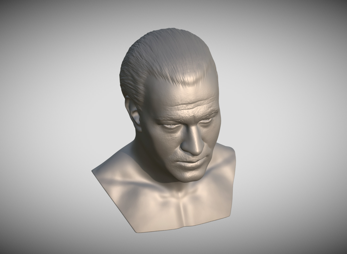 Steven Seagal bust 3D print model_14