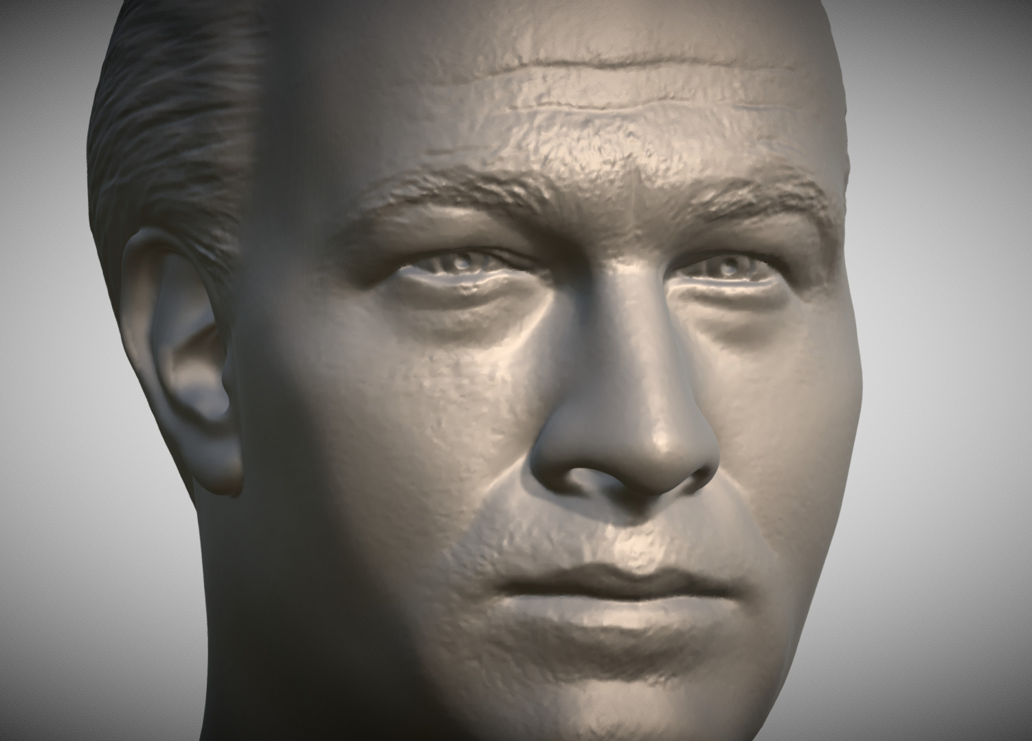 Steven Seagal bust 3D print model_11