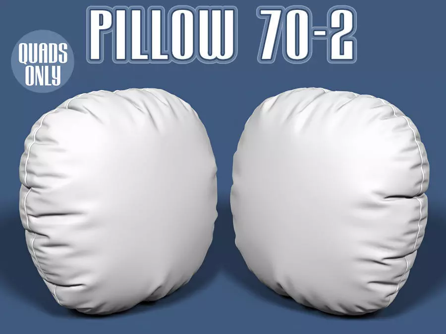 Pillow 70-2 3D model_0