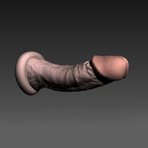 Realistic Penis 18 scanned 3D print model