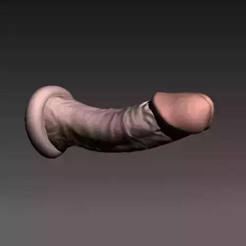 Realistic Penis 18 scanned