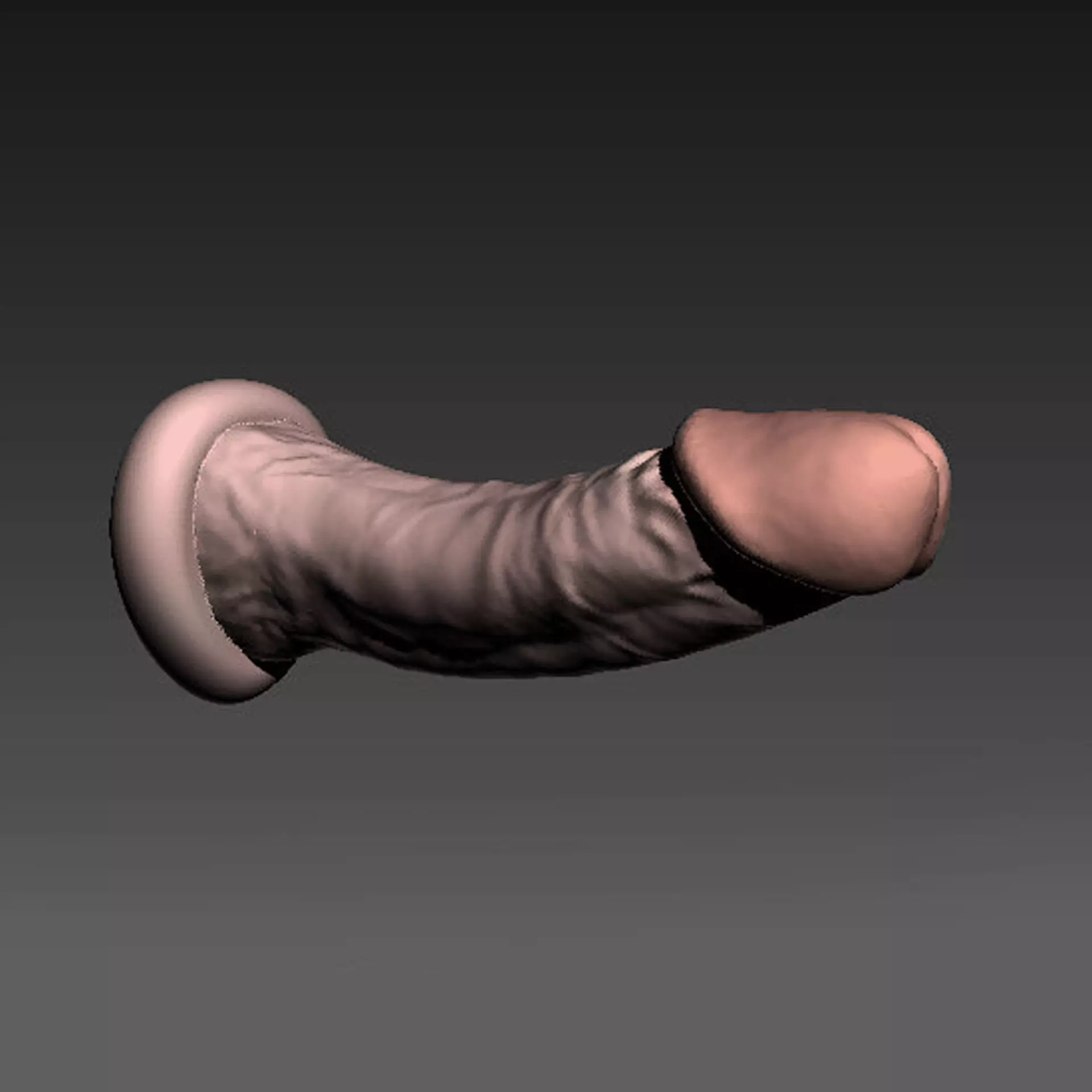Realistic Penis 18 scanned 3D print model_0