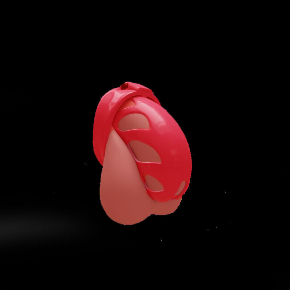 male Chastity Cages  3D print model_2